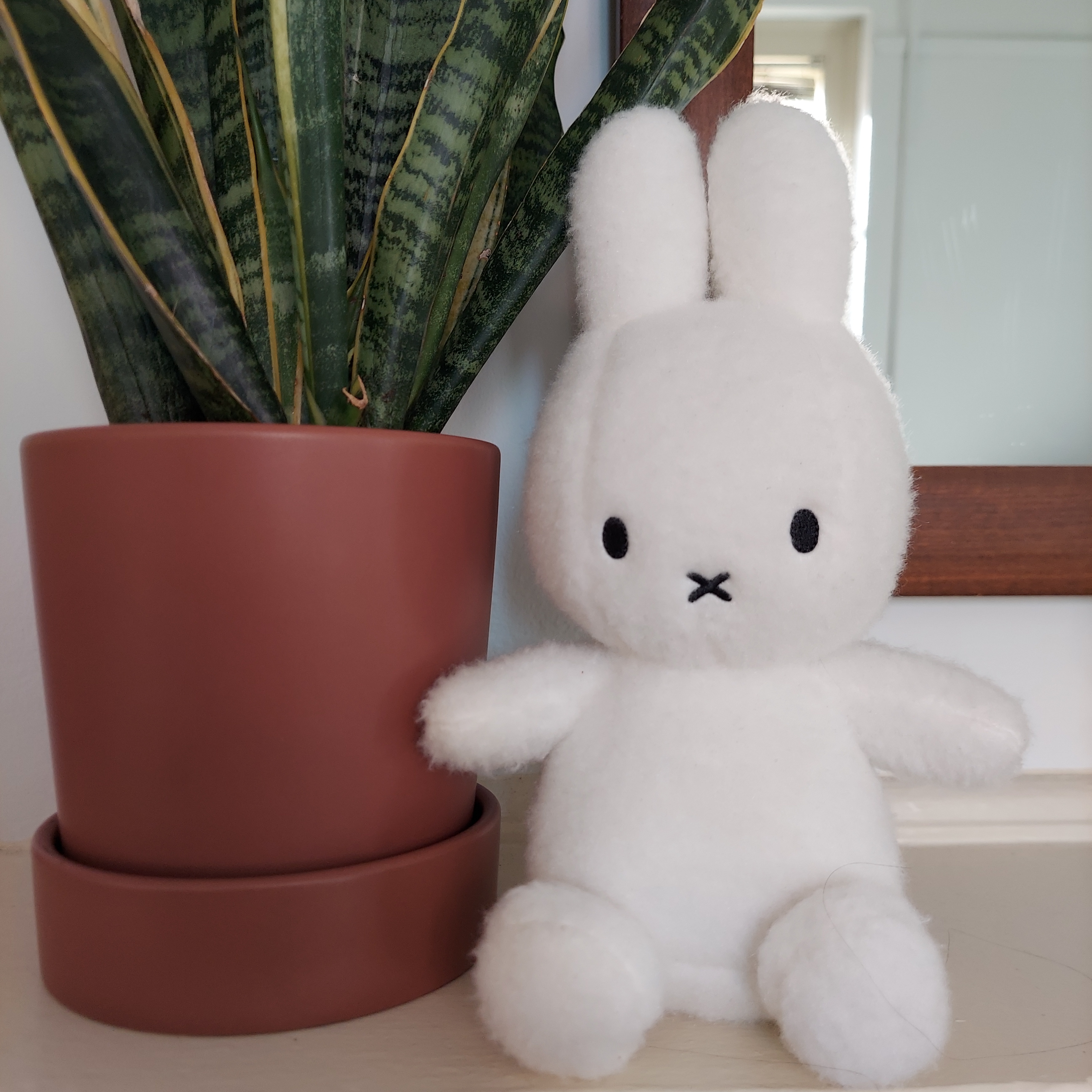 A 'Miffy' plush next to a variegated snake plant